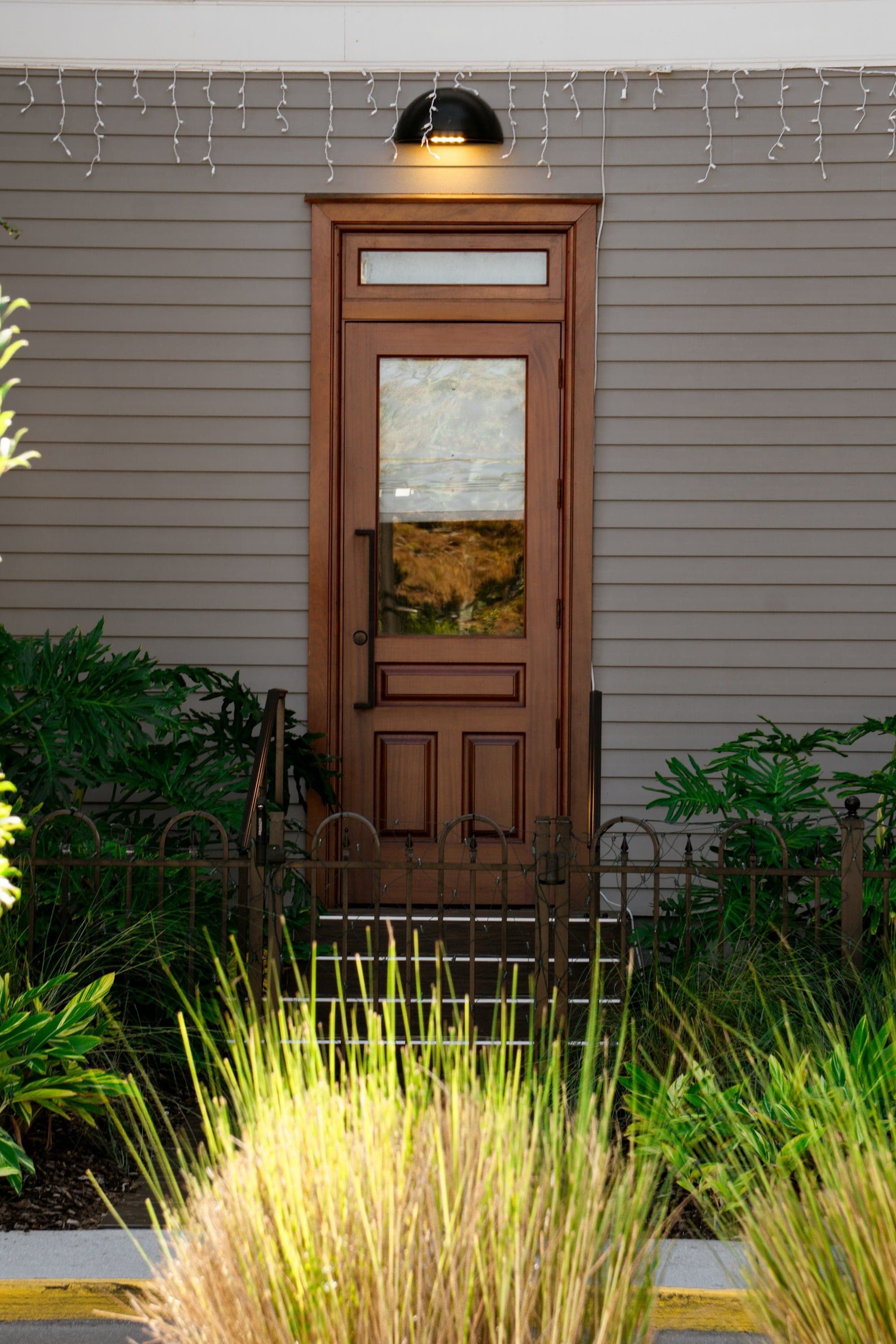 Stained wood entry door with a glass panel, surrounded by plants